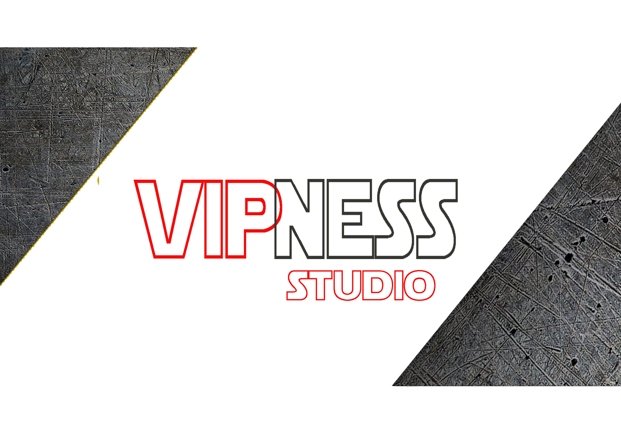 VIPNESS STUDIO LOGO